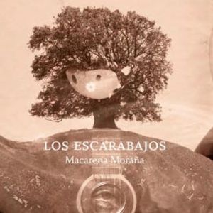 Los escarabajos, Macarena Moraña