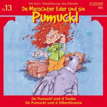 De Meischter Eder und sin Pumuckl, Nr. 13 audiobook, Ellis Kaut