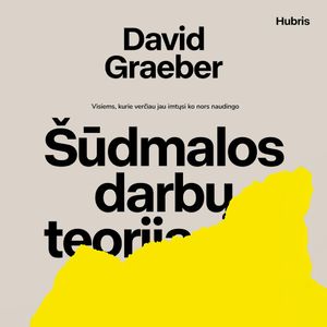 ŠŪDMALOS DARBŲ TEORIJA. Visiems, kurie verčiau jau imtųsi ko nors naudingo, David Graeber