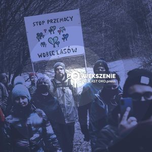 Wycinają mi las. Co mam zrobić? [POWIĘKSZENIE LIVE], OKO.press