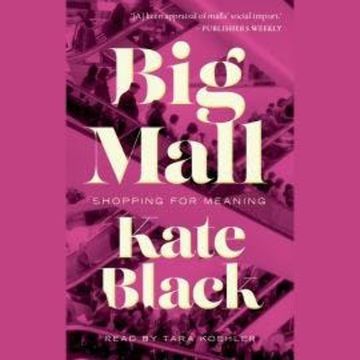 Big Mall - Shopping for Meaning (Unabridged) audiobook, Kate Black