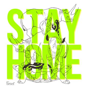 Brief # 109 – Cyfrowe życie, cross-fostering i „mokre rynki” Azji audiobook, Outride.rs