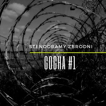 GOCHA cz. 1/2 - kryminał, podcast, słuchowisko, antykryminał audiobook, Piotr Wielg