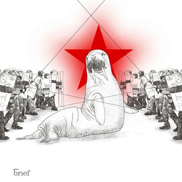 Brief #78 – Protesty w Moskwie, rewolucja AI w rolnictwie i superszybkie pociągi audiobook, Outride.rs