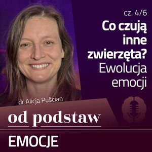 Co psu bywa wstyd? Ewolucja emocji | OD PODSTAW: Emocje | 4/6 | dr Alicja Puścian, Karolina Głowacka