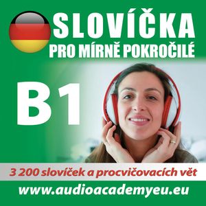 Německá slovíčka B1, Audioacademyeu