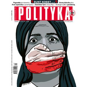 AudioPolityka Nr 44 z 27 października 2020 roku, Polityka