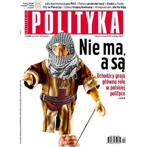 AudioPolityka Nr 22 z 31 maja 2017, Polityka