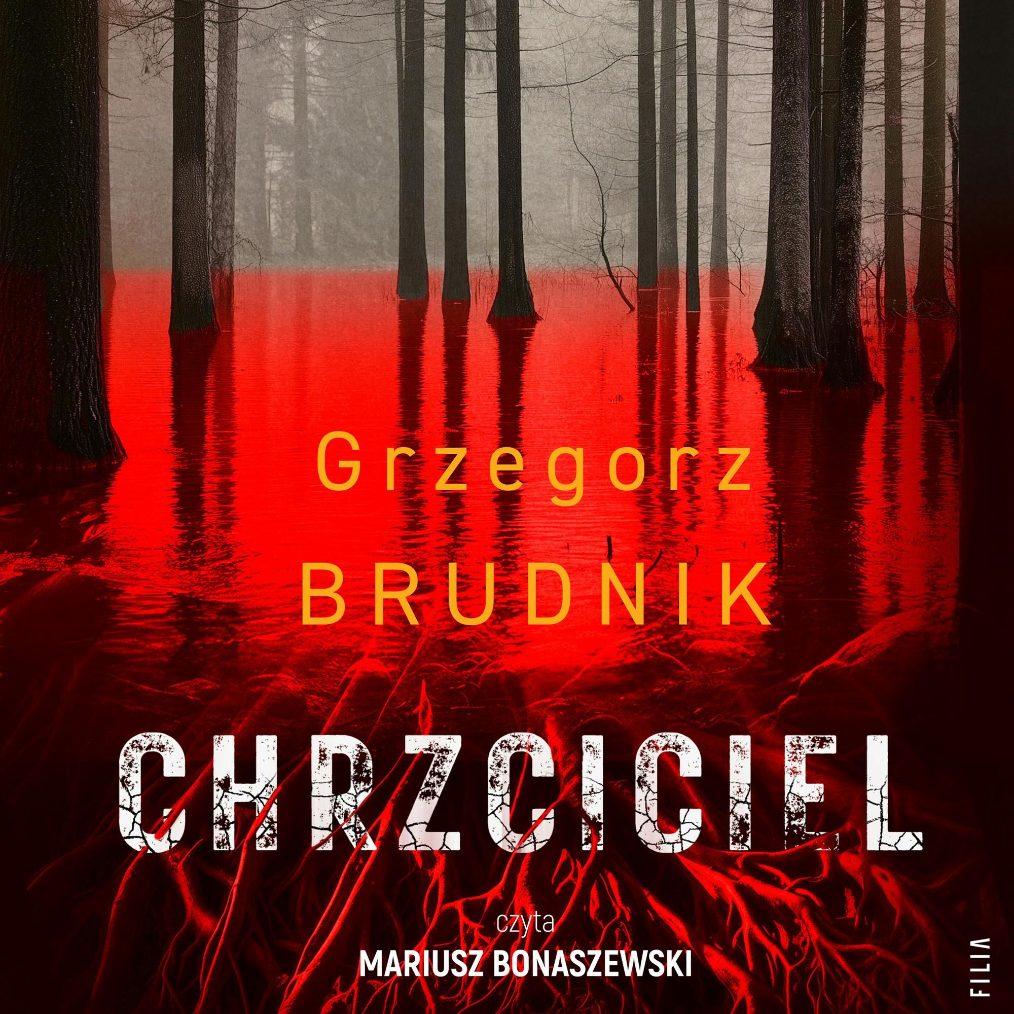 Chrzciciel. Komisarz Rafał Lichy. Tom 2 - Audiobook - Grzegorz