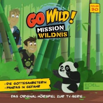 Folge 30: Die Gottesanbeterin / Pandas in Gefahr (Das Original-Hörspiel zur TV-Serie) audiobook, Thomas Karallus