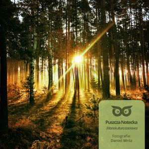 [03] Czy drzewa potrafią mówić?, Daniel Mróz