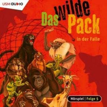 Das wilde Pack, Folge 5: Das wilde Pack in der Falle audiobook, André Marx, Boris Pfeiffer