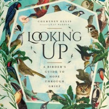 Looking Up audiobook, Courtney Ellis