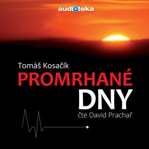 Promrhané dny, Tomáš Kosačík