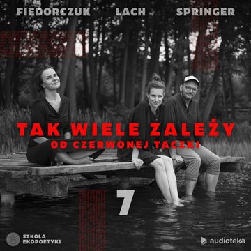 Tak wiele zależy od czerwonej taczki. Odcinek 7. W poszukiwaniu ciszy audiobook, Dyba Lach, Filip Springer, Julia Fiedorczuk