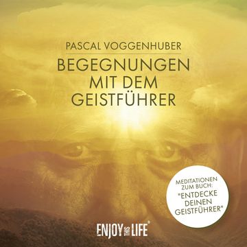 Begegnungen mit dem Geistführer audiobook, Pascal Voggenhuber