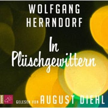 In Plüschgewittern audiobook, Wolfgang Herrndorf