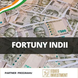 Potęga kapitału: kim są najbogatsi Hindusi? | Program Indyjski odc. 8, Mateusz Grzeszczuk