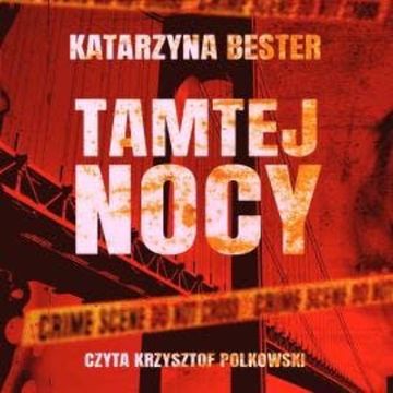 Tamtej nocy audiobook, Katarzyna Bester