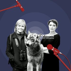 Wilk był dla człowieka konkurencją. 30 tysięcy lat temu [POWIĘKSZENIE], OKO.press