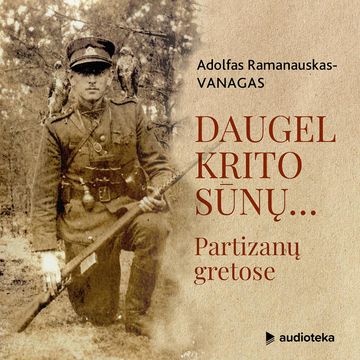 DAUGEL KRITO SŪNŲ… Partizanų gretose audiobook, Adolfas Ramanauskas-Vanagas