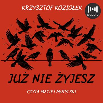 Już nie żyjesz audiobook, Krzysztof Koziołek