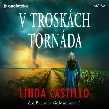 V troskách tornáda, Linda Castillo
