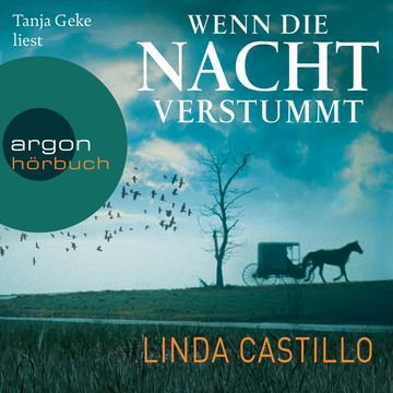 Wenn die Nacht verstummt audiobook, Linda Castillo