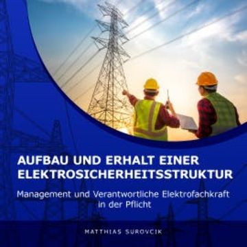 Aufbau und Erhalt einer Elektrosicherheitsstruktur audiobook, Matthias Surovcik