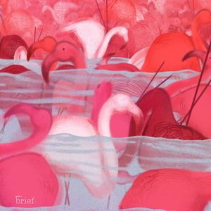 Brief #128 – Plemię Karuk, aktywność neuronalna i mukbang, Outride.rs