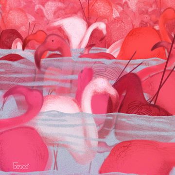 Brief #128 – Plemię Karuk, aktywność neuronalna i mukbang audiobook, Outride.rs