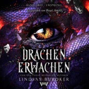 Drachen erwachen 3 - das Fantasy Hörbuch audiobook, Lindsay Buroker