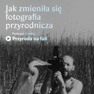 Jak zmieniła się fotografia przyrodnicza, Międzynarodowe Centrum Kultury