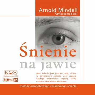 Śnienie na jawie. Metody całodobowego świadomego śnienia audiobook, Arnold Mindell