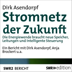 Stromnetz der Zukunft, Dirk Asendorpf