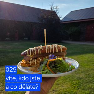 029 víte, kdo jste a co děláte?, Hana Kuncová, Lukáš Hejlík