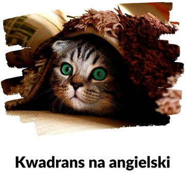 KNA: Lekcja 151 (kot) audiobook, Szymon Marciniak