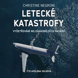Letecké katastrofy, Christine Negroni