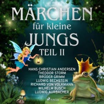 Märchen für kleine Jungs II audiobook, Theodor Storm