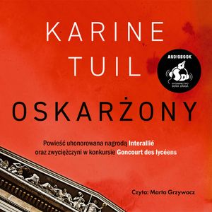 Oskarżony, Karine Tuil