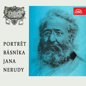 Portrét básníka Jana Nerudy, Jan Neruda