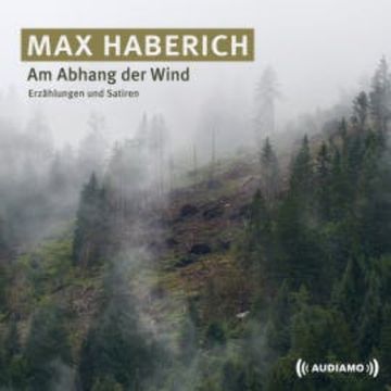 Am Abhang der Wind audiobook, Max Haberich