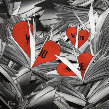 Brief #152 – Sekularyzacja Iranu, brazylijskie mokradła i język gwizdów audiobook, Outride.rs