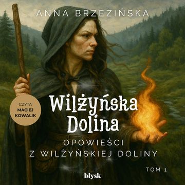 Opowieści z Wilżyńskiej Doliny audiobook, Anna Brzezińska