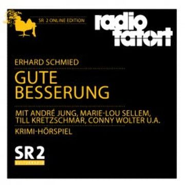 Gute Besserung audiobook, Erhard Schmied