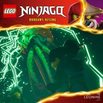 Folgen 233-234: Jenseits der Vision audiobook, N.N.