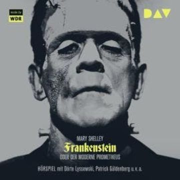 Frankenstein oder Der moderne Prometheus audiobook, Mary Shelley
