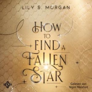 How To Find A Fallen Star (New York Magics 2), Lily S. Morgan