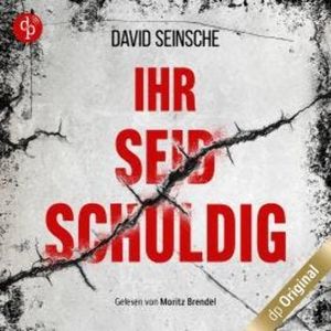 Ihr seid schuldig (Ungekürzt), David Seinsche