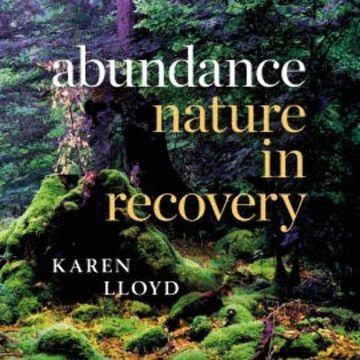 Abundance audiobook, Karen Lloyd